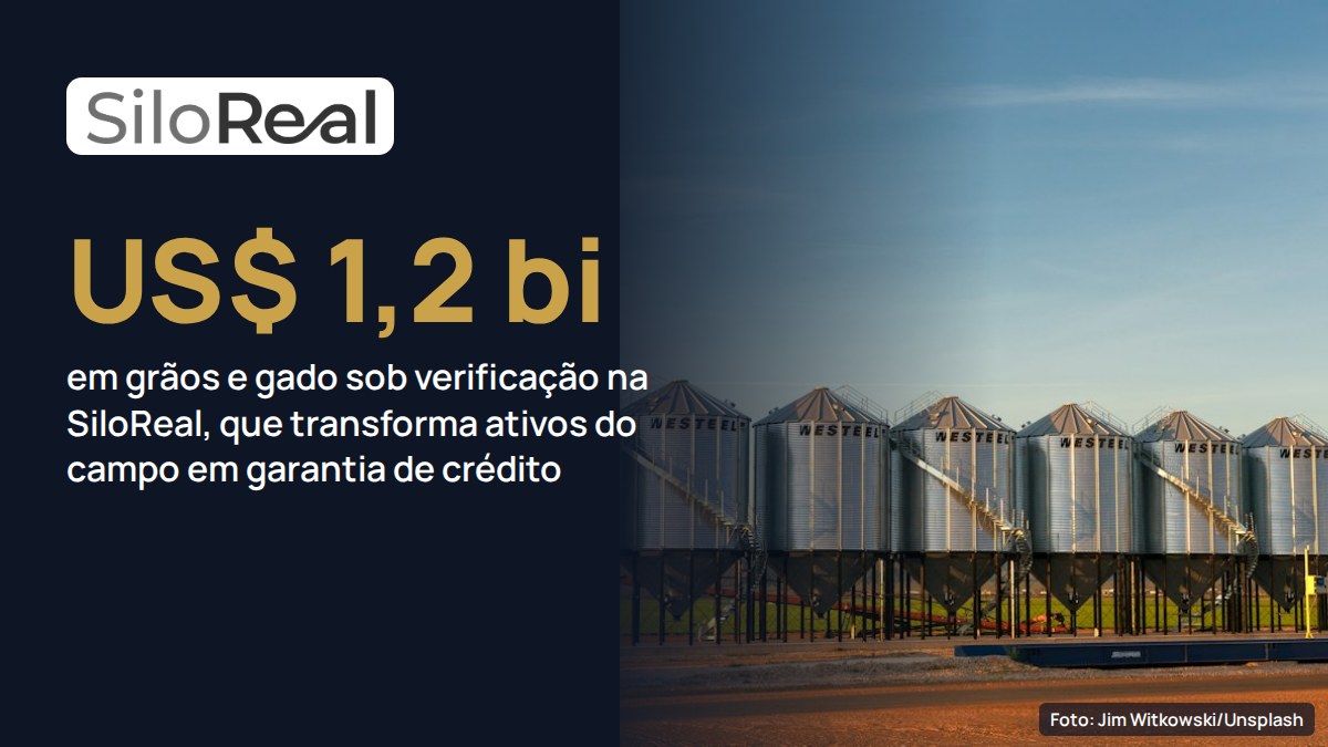 SiloReal transforma grãos e gado em garantia de crédito e já verifica US$ 1,2 bilhão em ativos